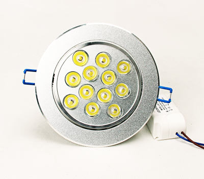LED Down Light