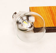 LED Bulb Light